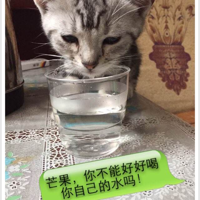 日本大阪青山大学文凭毕业证怎么买假的